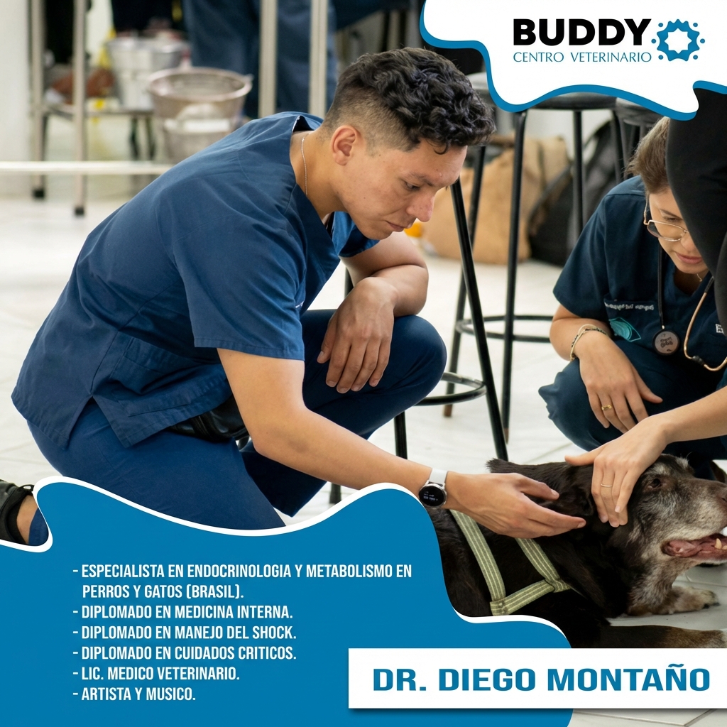 Dr. Diego Montaño - Especialista