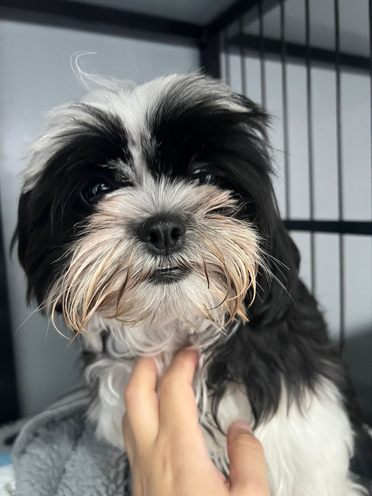 Instalaciones de la clínica