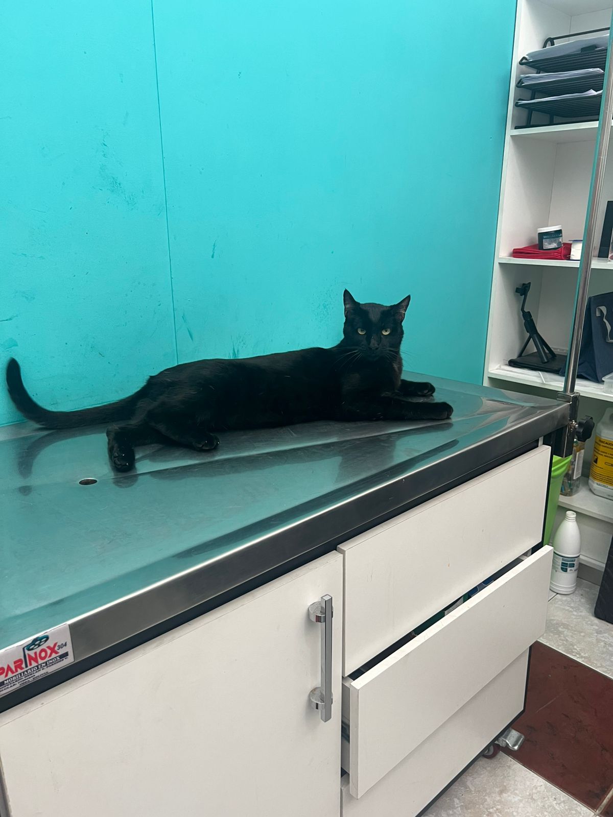 Equipo médico veterinario