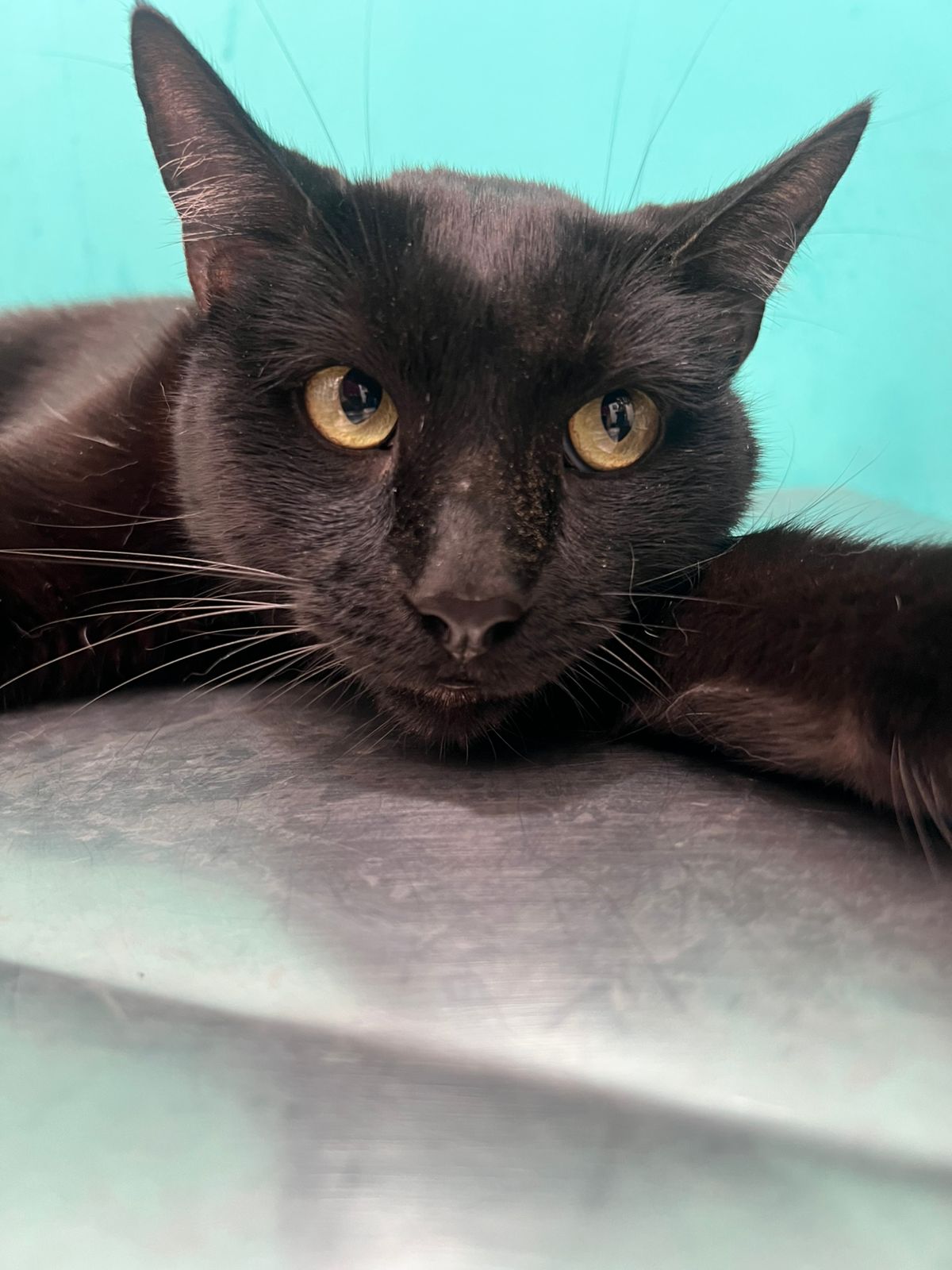 Recuperación y cuidados